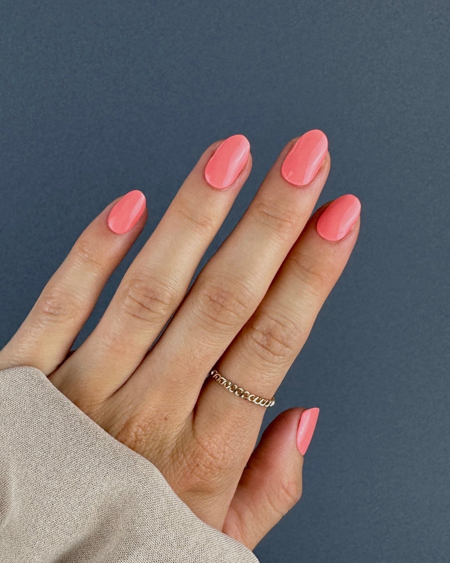 Corail - Oprah Studio