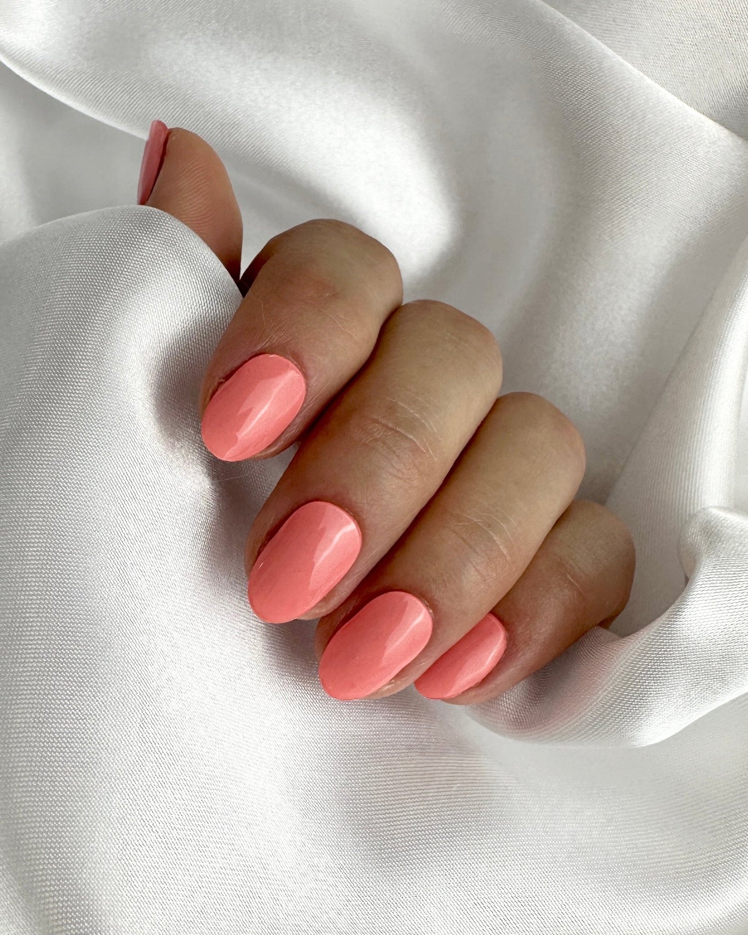 Corail - Oprah Studio