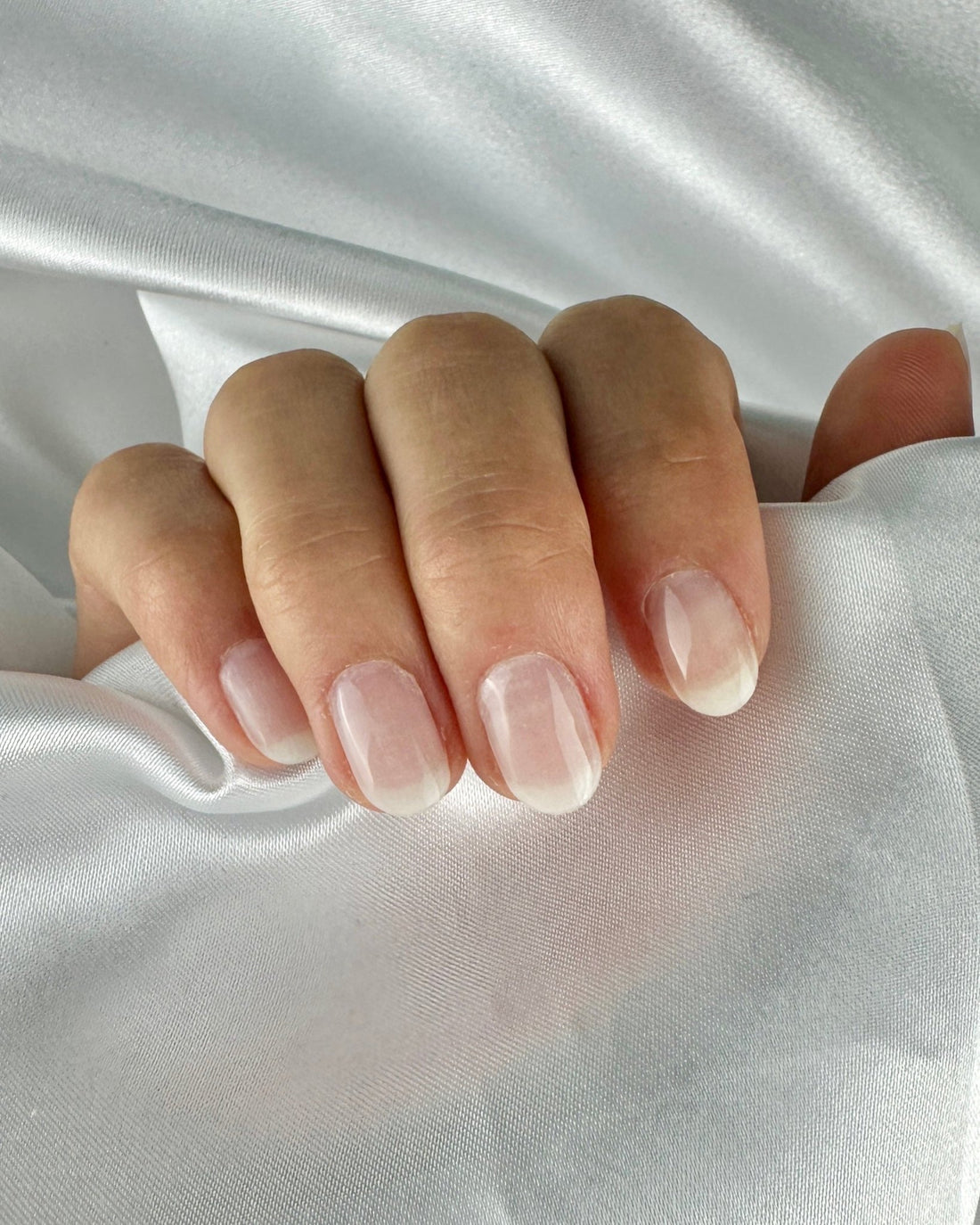 Délicate - Oprah Studio