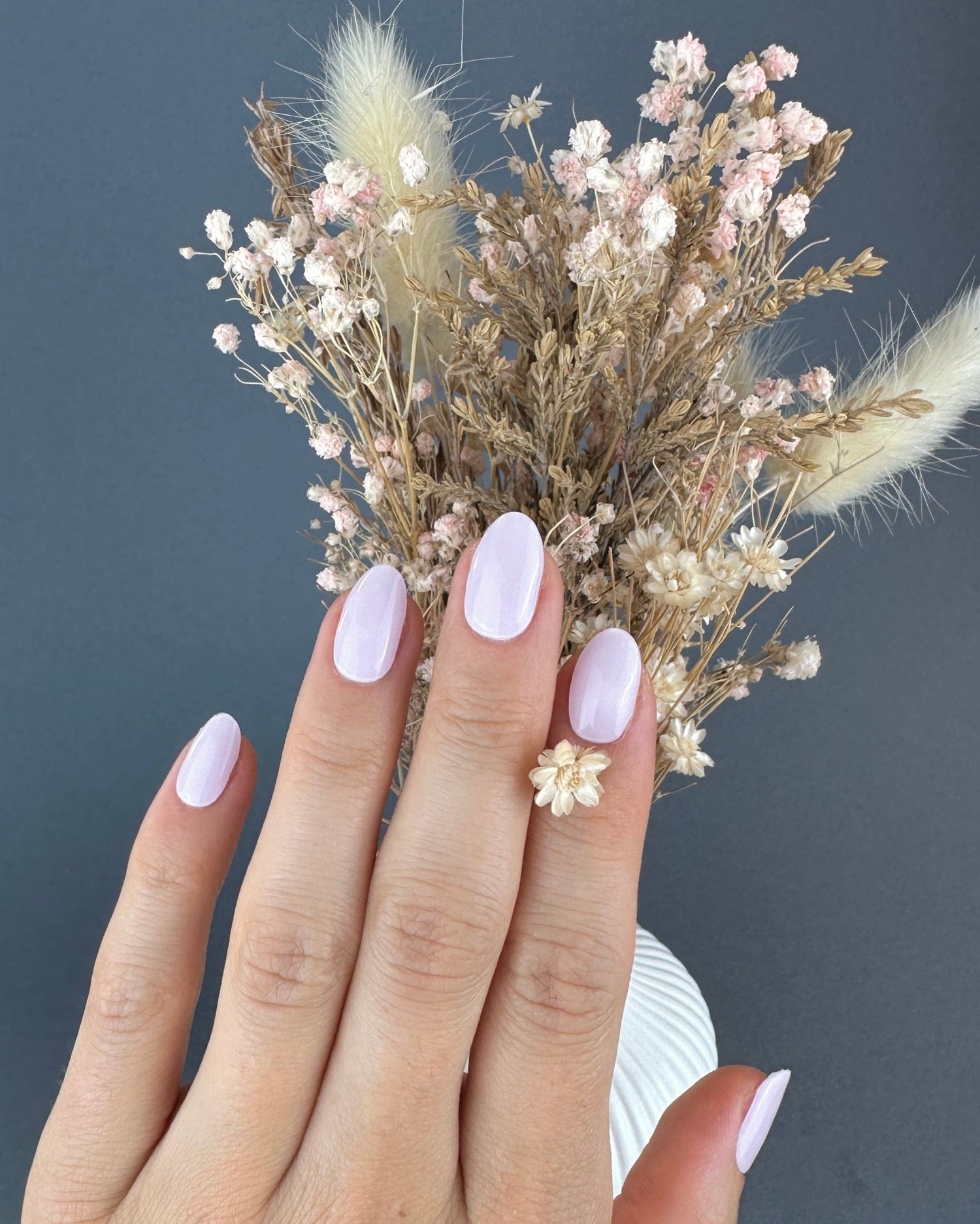 Lollipop - Oprah Studio