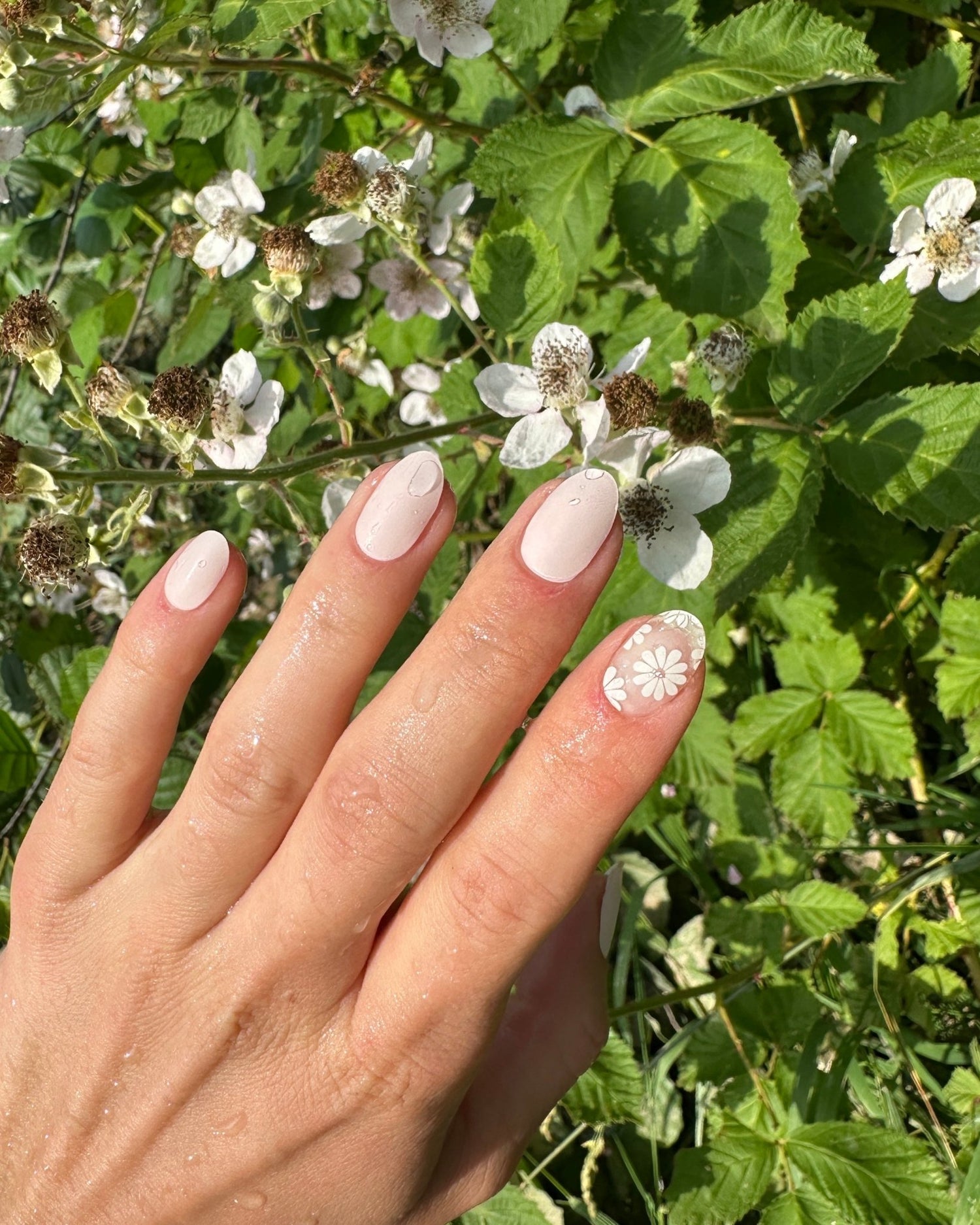 White Flowers - Oprah Studio