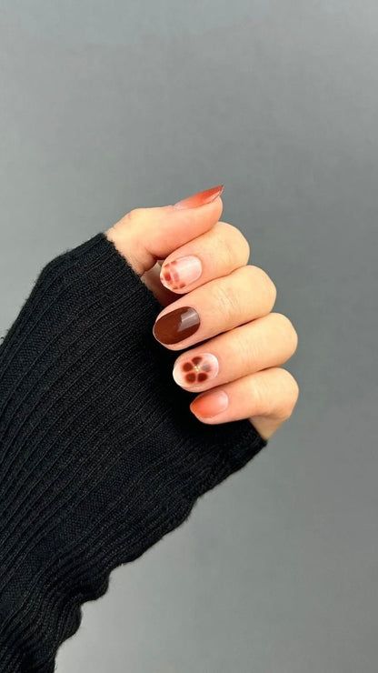 Ambre - Effet Tortoise - Oprah Studio