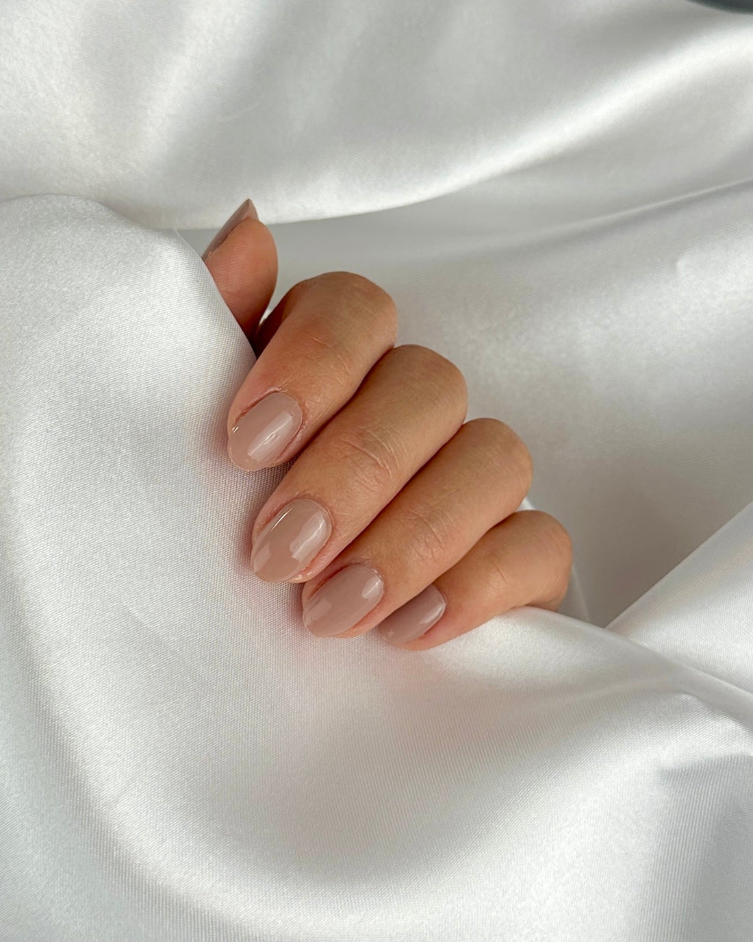 Cappuccino - Oprah Studio