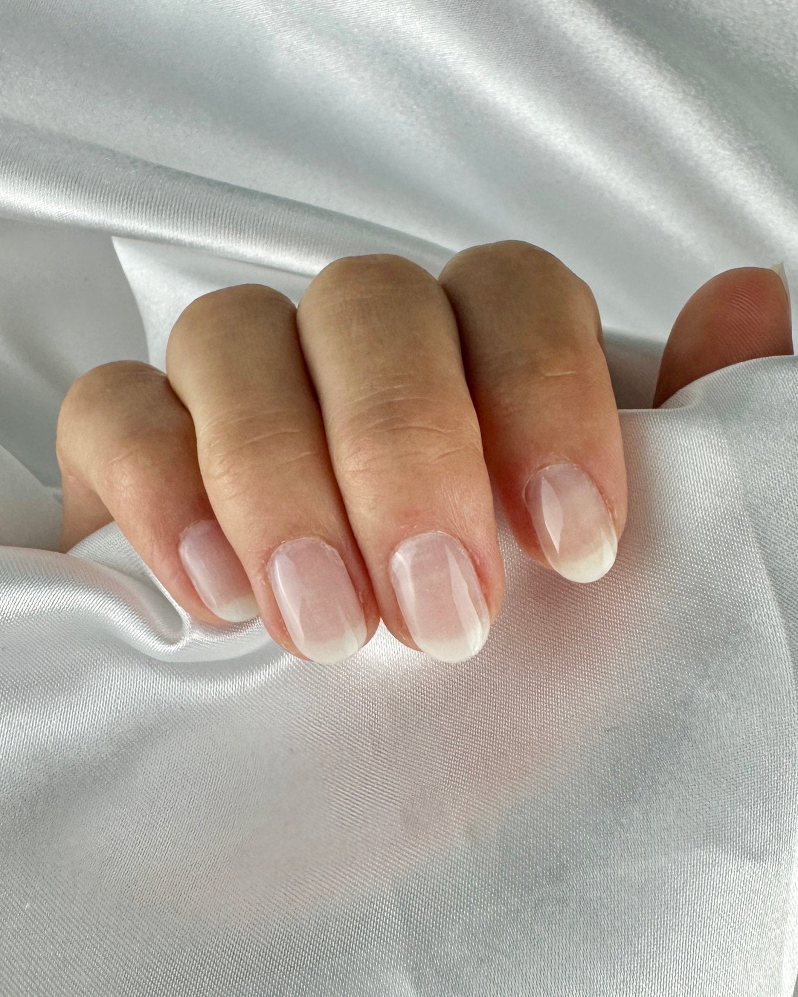 Délicate - Oprah Studio