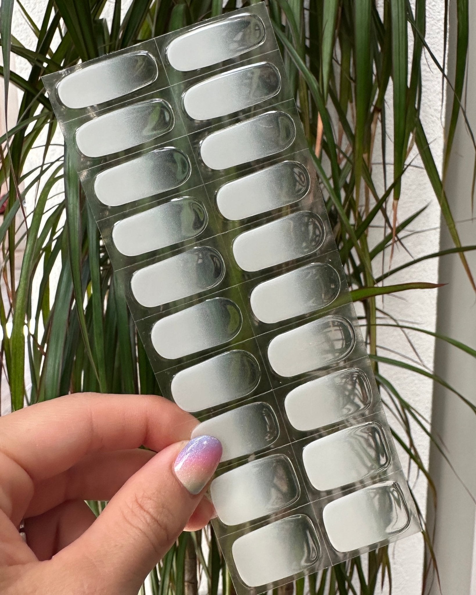 Délicate - Oprah Studio