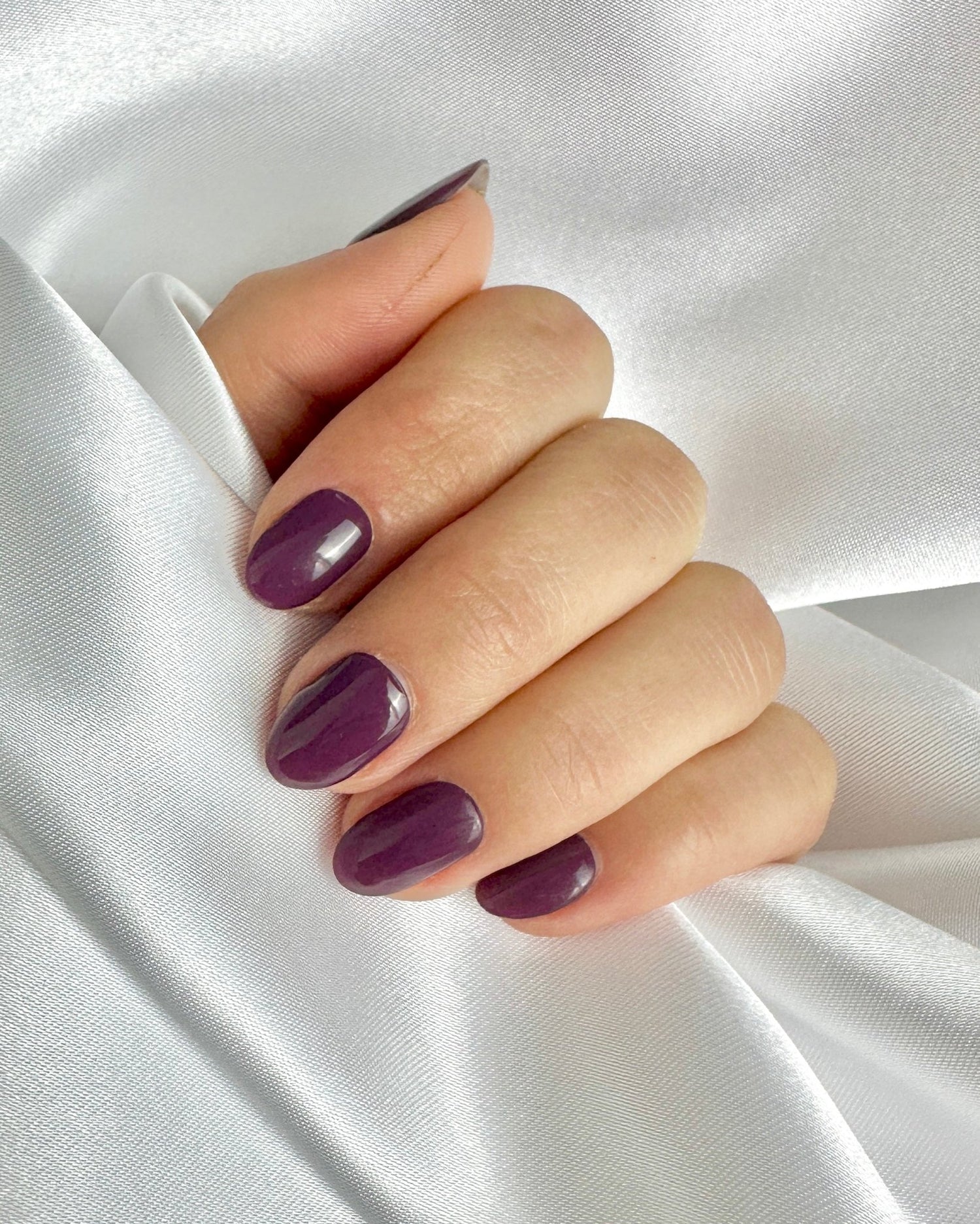 Lie de vin - Oprah Studio