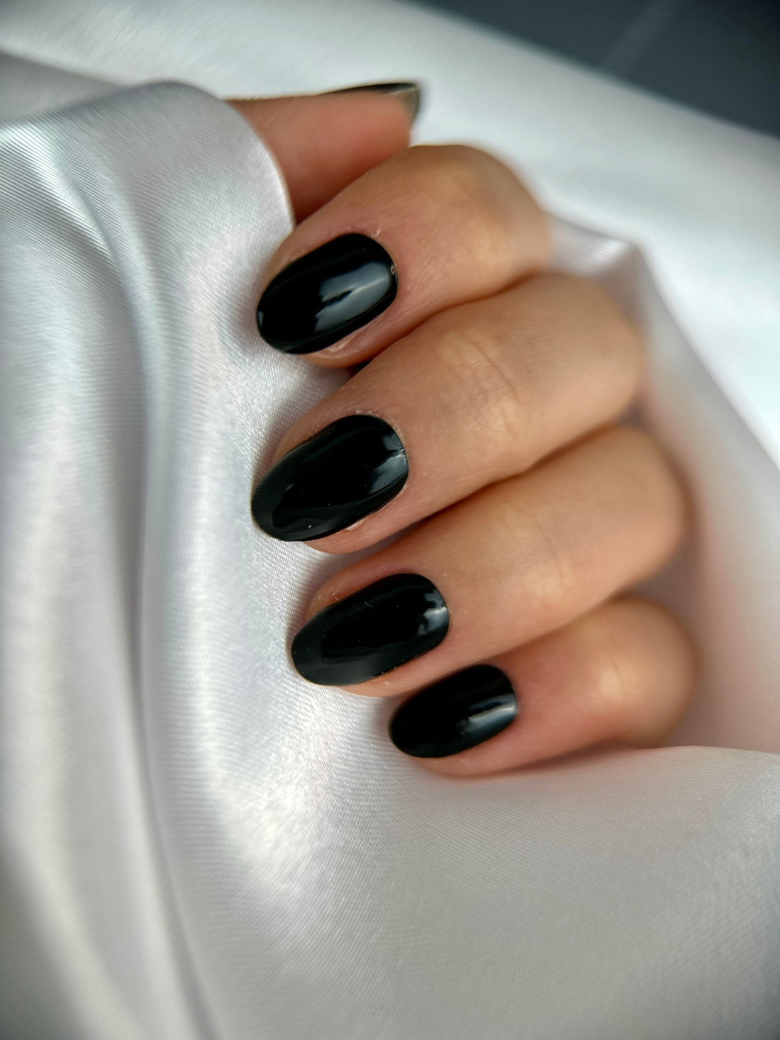 Noir élégance - Oprah Studio