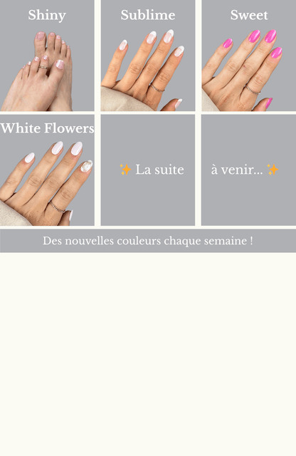 Pack Découverte - Oprah Studio