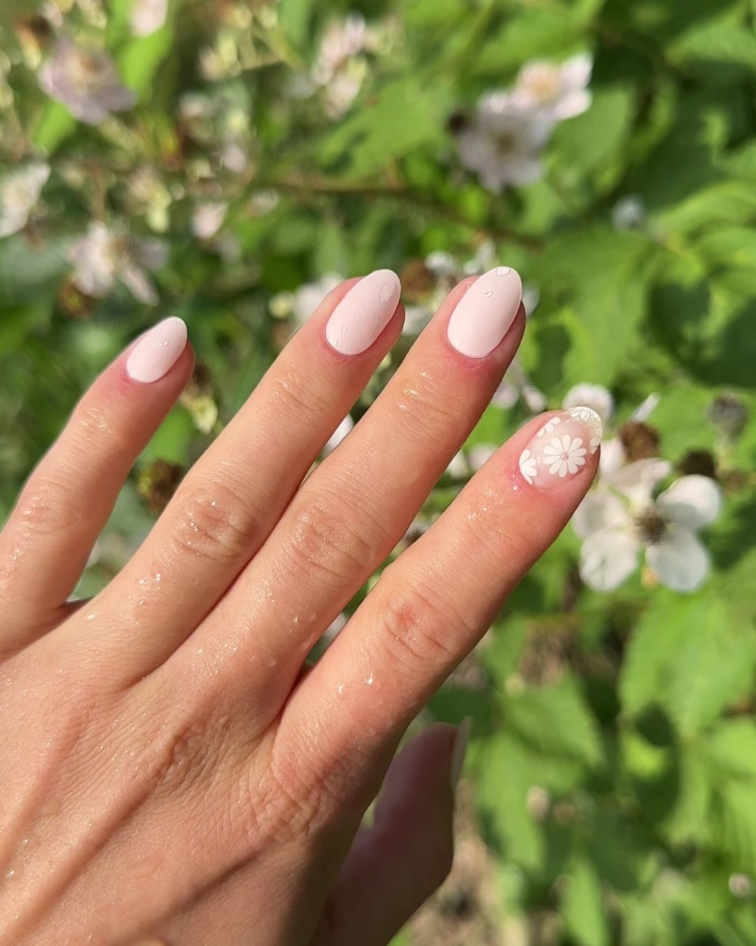 White Flowers - Floral